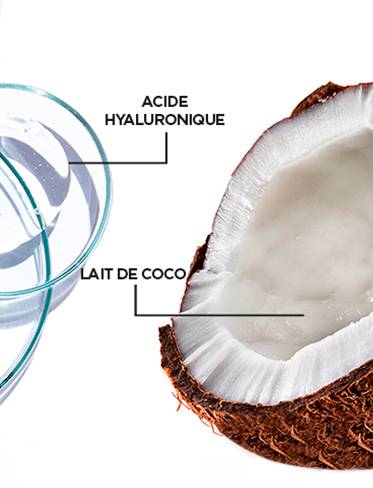 9272 GAR NUTRI COCO INGR 373X488 v2